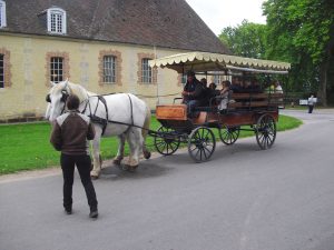 Balade en calèche au sein du domaine du Haras national du Pin