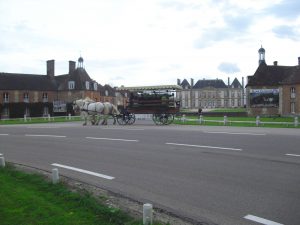 Balade en calèche au sein du domaine du Haras national du Pin